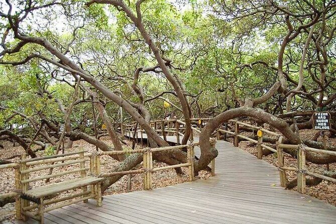 4x4 tour on the South Coast of Natal - A 4x4 Day on Natal’s South Coast: What You’re Really Buying
