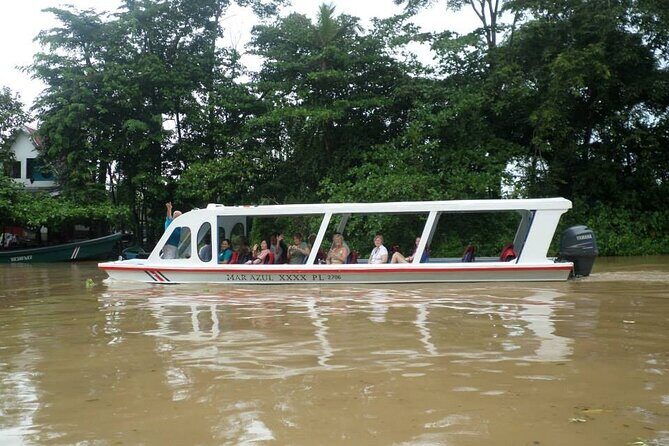 6-in-1 Tour: Cahuita National Park, Tortuguero Canals & More! - Stop 3: Cahuita National Park’s 2 km Guided Walk for Sloths, Frogs, and Birds