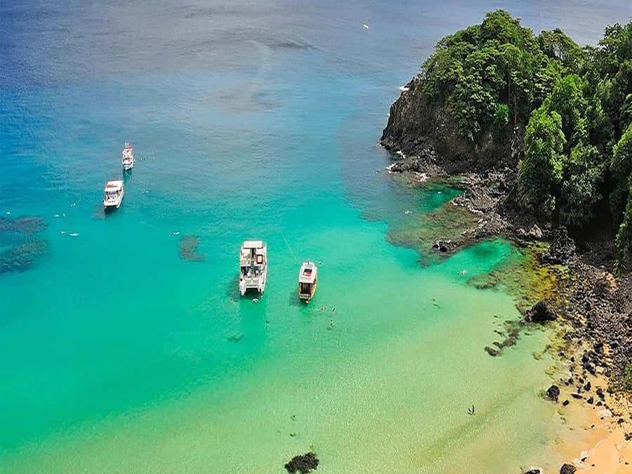 7-Hour Island Adventure: Fernando de Noronha Ilhatour - Key highlights at a glance