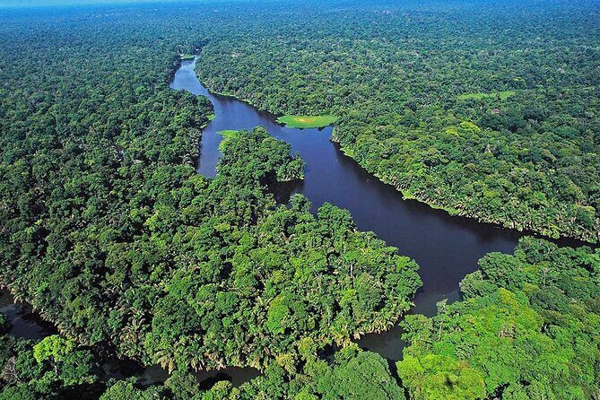 7-in-1 Combo Tour: Tortuguero Canals Shore Excursion - Banana Plantation Stops: coffee, cacao, and a processing reality check