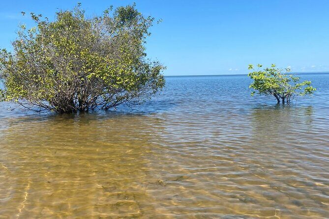 8day expedition of scenic beauty and Amazon traditional culture on Tapajós River - Key things I’d circle before you book