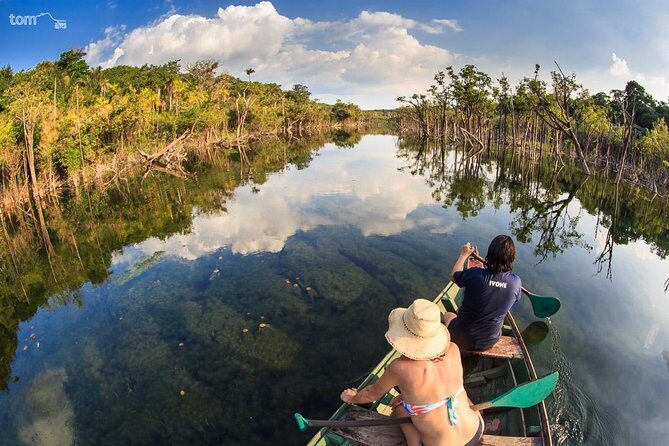 Alter do Chão FLONA Jamaraquá Tour - Key highlights you should know before you go