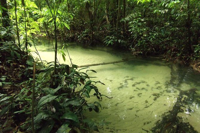 Alter do Chão FLONA Jamaraquá Tour - Entering FLONA Jamaraquá from Alter do Chão: what the day really feels like