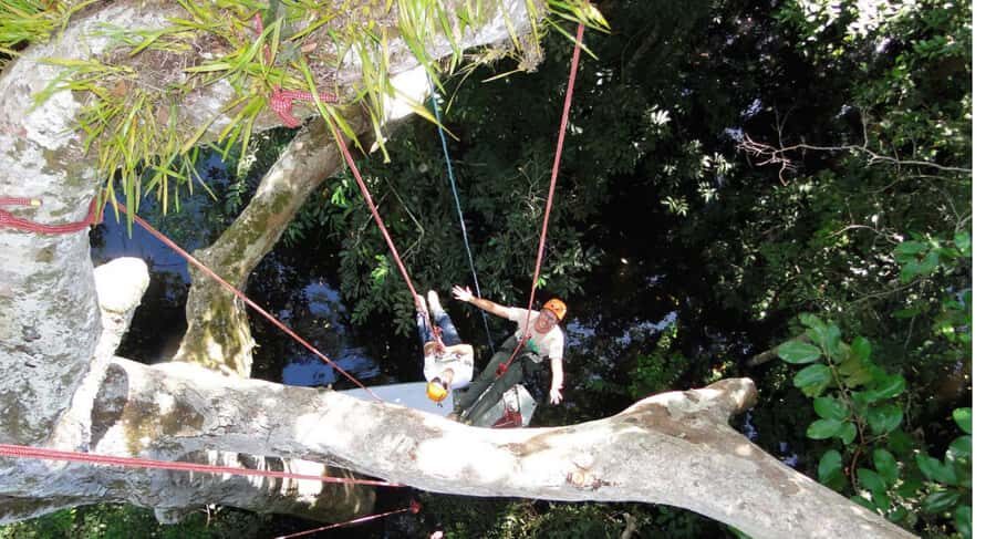 Amazon Jungle 3-Hour Tree Climbing Activity - Key Points You Should Know Before You Climb