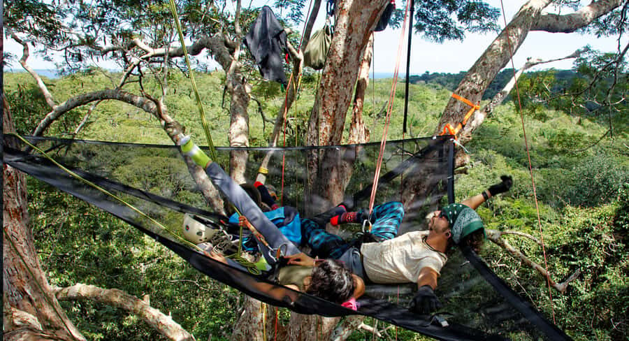 Amazon Jungle 3-Hour Tree Climbing Activity - What This 3-Hour Amazon Tree Climb Really Changes for You