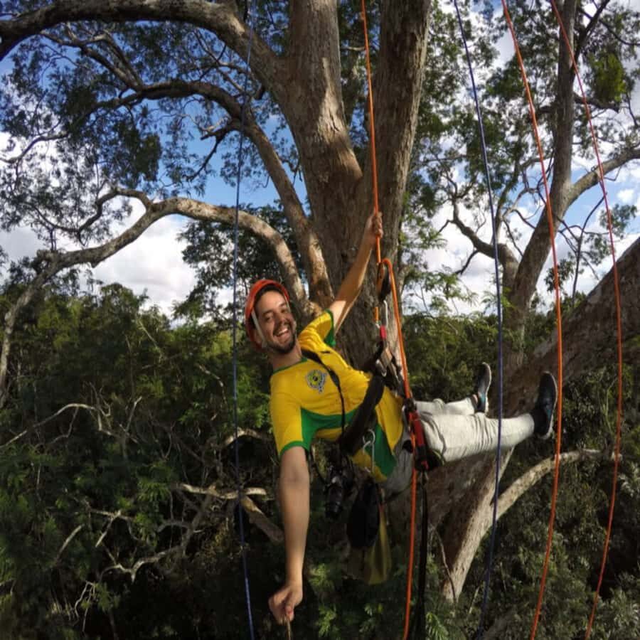 Amazon Jungle 3-Hour Tree Climbing Activity - The Trees, the Canopy Views, and What You’ll Notice Up There
