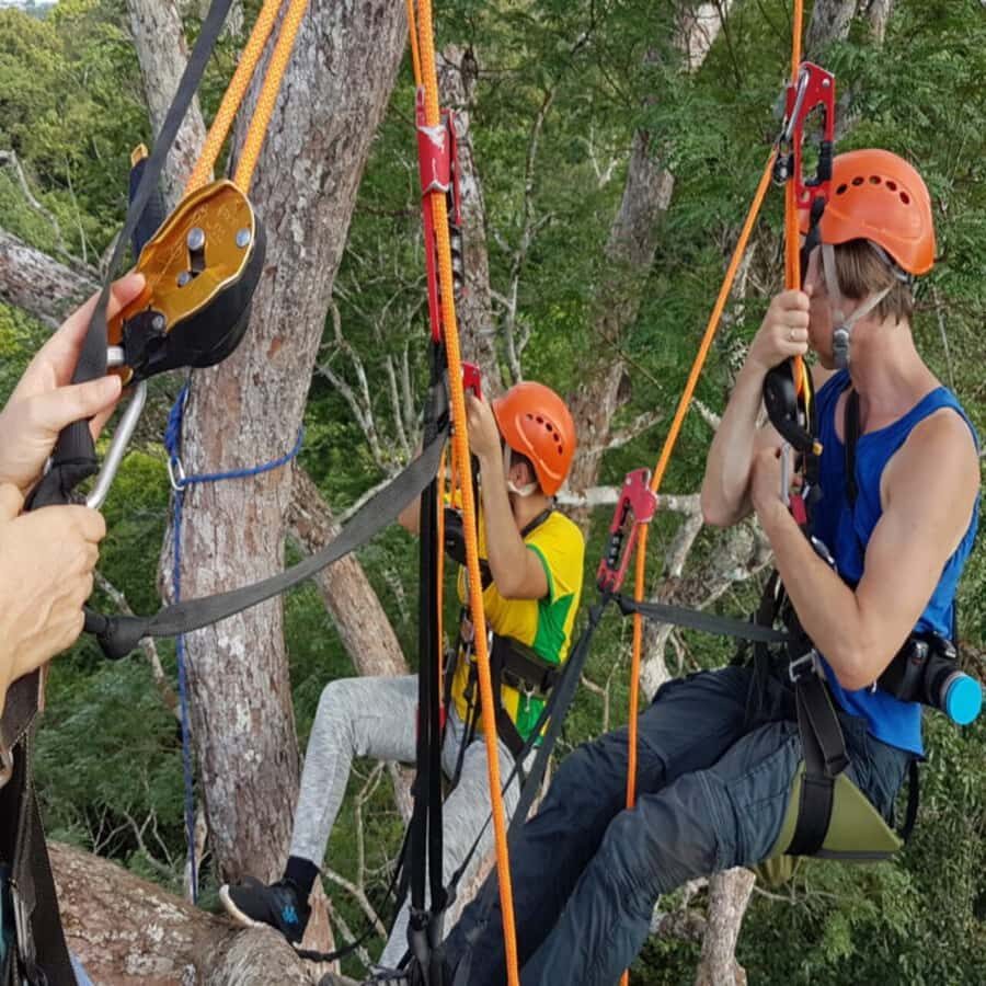 Amazon Jungle 3-Hour Tree Climbing Activity - Price and Value: Is $170 Worth Three Hours in the Jungle?