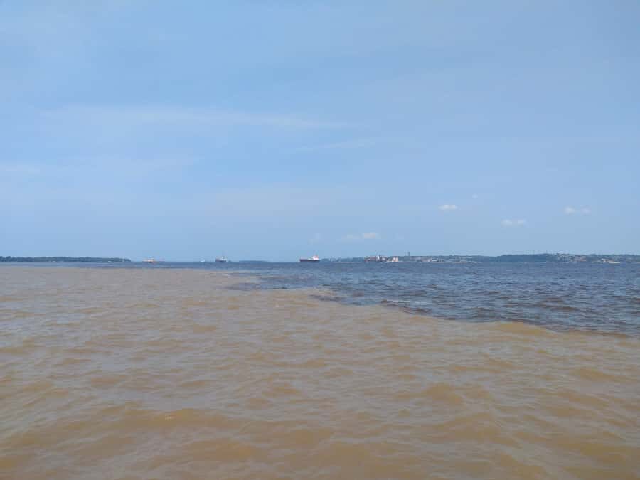 Amazon Safari® Manaus: Day trip on the Amazon River - Pirarucu Hatchery Stop: Learning How Local Fish Life Is Managed