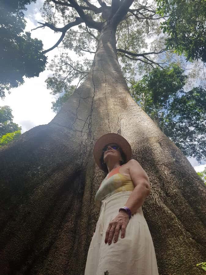 Amazon Safari® Manaus: Day trip on the Amazon River - Price and Logistics for a 7-Hour Manaus Day Trip