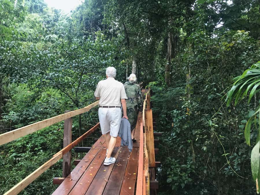 Amazonas: Boat Ride with a Local Amazonian - Pirarucu fish farm: huge freshwater monsters