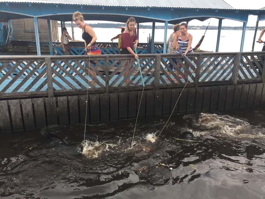 Amazonas: Boat Ride with a Local Amazonian - The giant water lilies and the lake pause