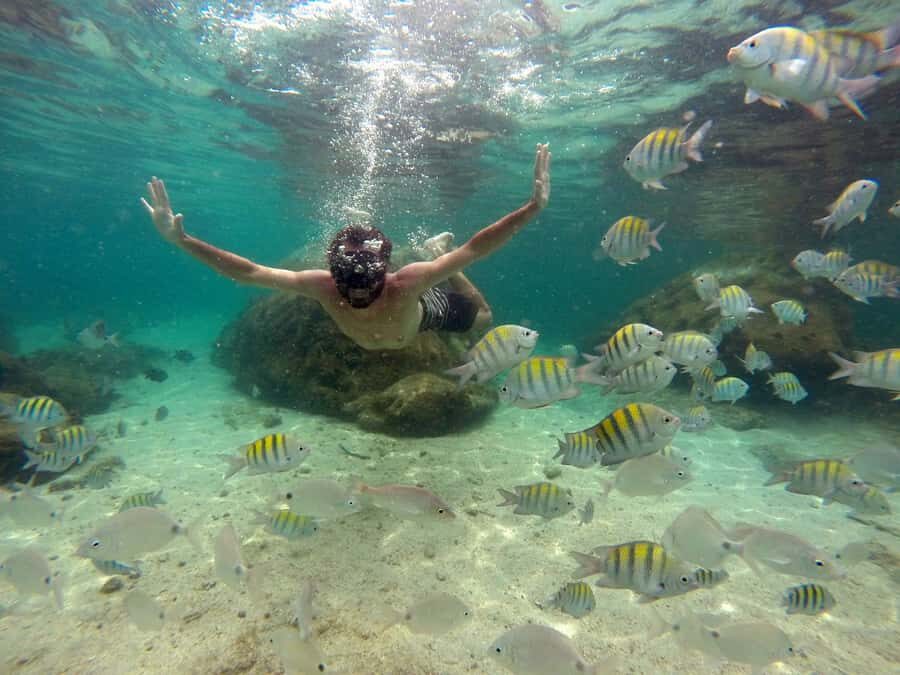 Angra dos Reis and Ilha Grande: Small-Group Fast-Boat Tour - What to Pack for an Ilha Grande Fast-Boat Day