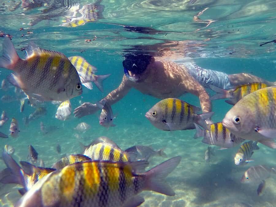 Angra dos Reis and Ilha Grande: Small-Group Fast-Boat Tour - Food and Drinks: What’s Included, What’s Optional, and What You Should Confirm