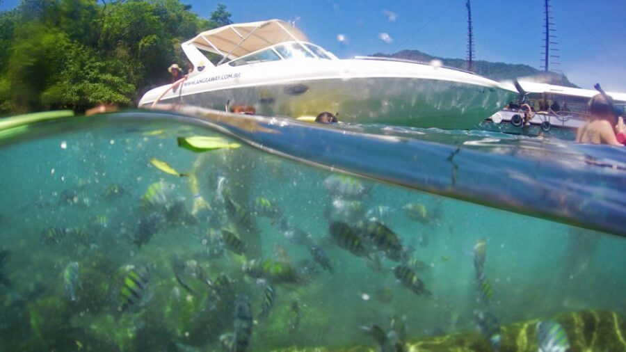 Angra dos Reis: Super Lagoa Azul Speedboat Tour - Stop 4: Araçá Beach for Quiet Water and Rock-Frame Views
