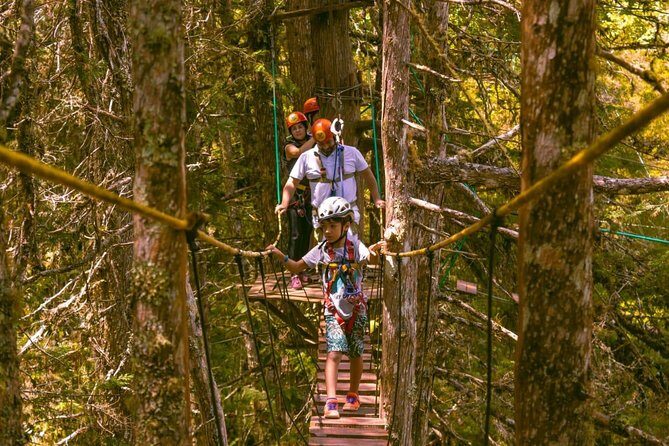 Arborismo in Horto Florestal - Campos Do Jordão - Key things to know before you book