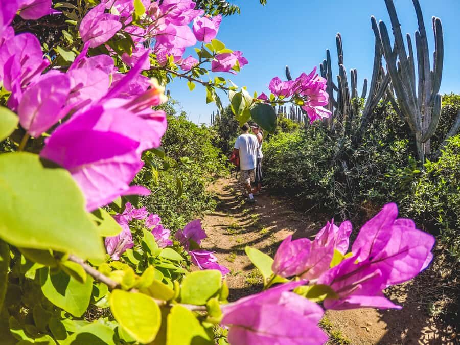 Armação dos Búzios: Walk Through the Natural Pools in Búzios - Entering the Pedra do Guardião to Praia dos Amores route