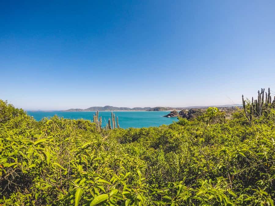 Armação dos Búzios: Walk Through the Natural Pools in Búzios - Price and value: what $72 buys you in real terms