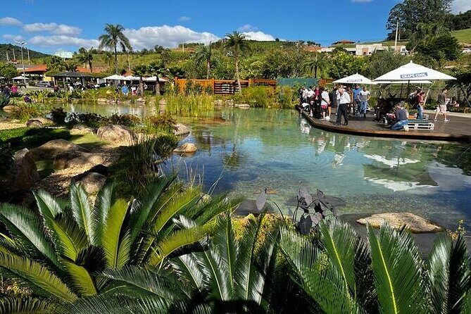 Art Of Wine – Travel Through The So-Called Wine Route Visiting Various Wineries - The Free Food Window at a Top Winery