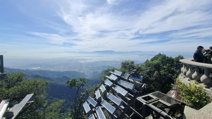 AVenturismo Christ Redeemer - Tijuca National Park hiking: the biggest “city forest” workout