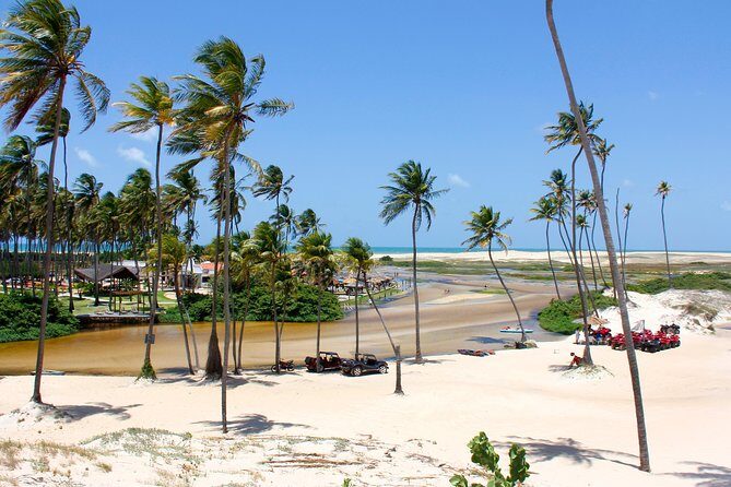 Barra de Punaú Tour - Departing from Natal - Key Highlights at a Glance