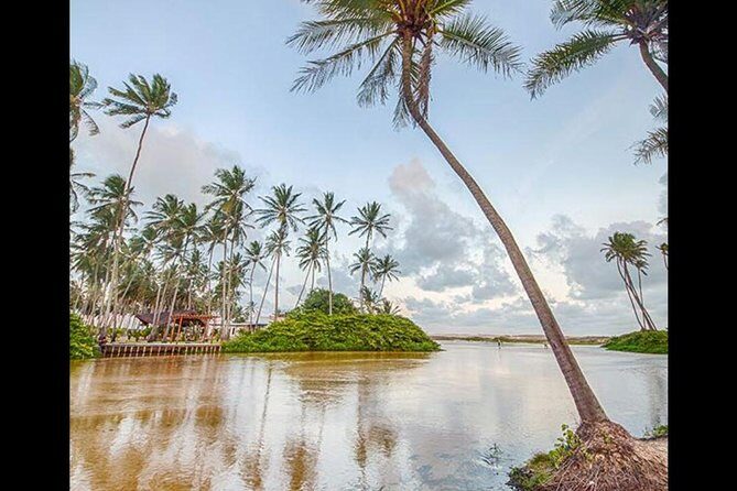 Barra de Punaú Tour - Departing from Natal - Who This Tour Fits Best (and Who Might Prefer Something Else)