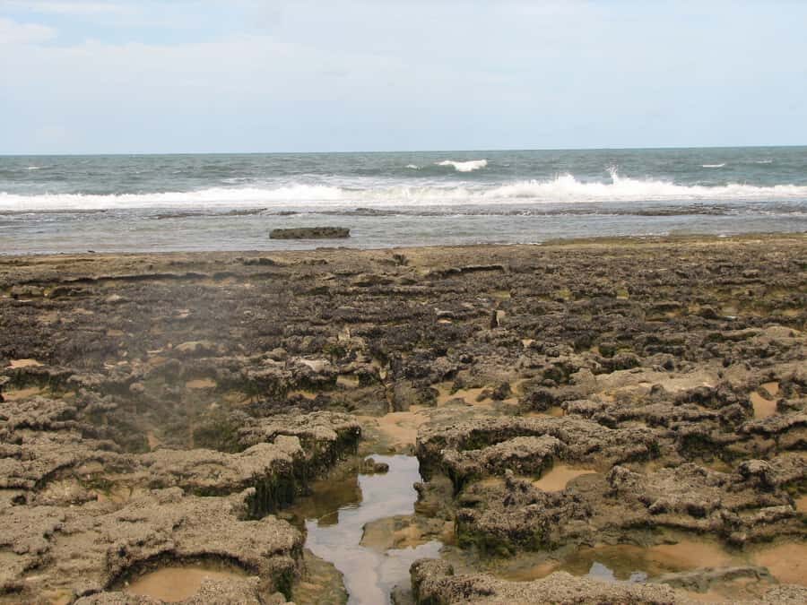 Barra do Cunhaú Full-Day Trip from Natal - From Natal to Cunhaú: How the Day Gets Moving