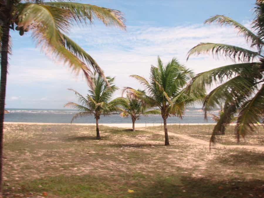 Barra do Cunhaú Full-Day Trip from Natal - Cunhaú Beach and Sea Pools: Where Relaxing Actually Feels Local