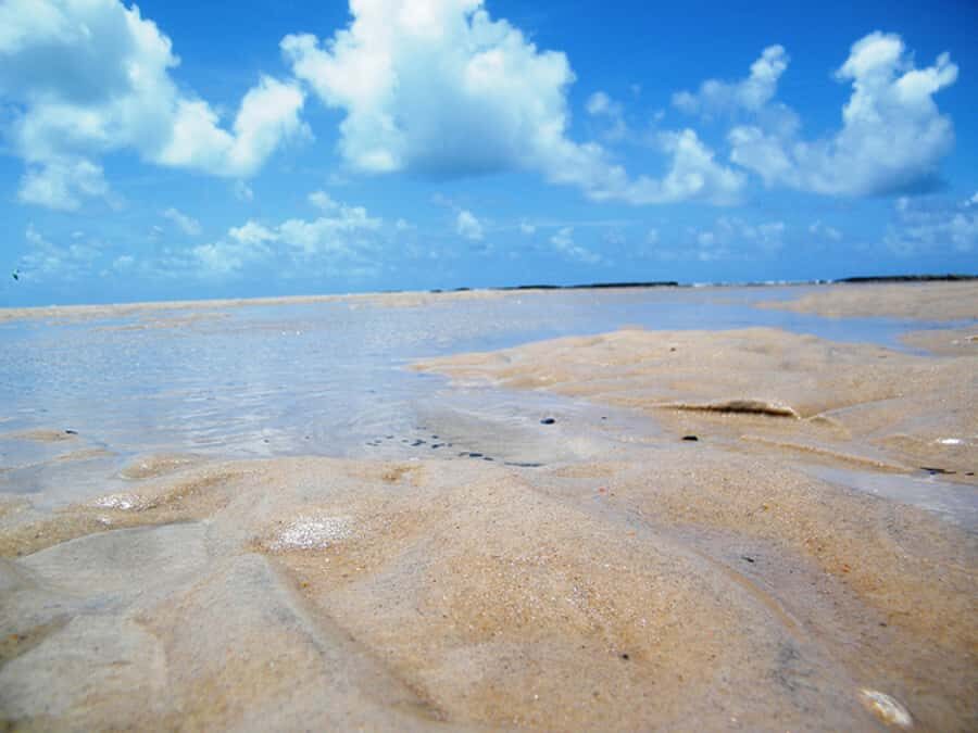 Barra do Cunhaú Full-Day Trip from Natal - Catamaran Time on the Curimataú River: Mangroves and Crabs