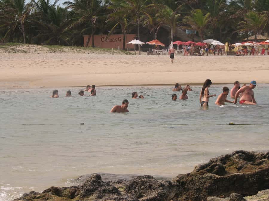 Barra do Cunhaú Full-Day Trip from Natal - Lunch by the Sea: Choosing Seafood Without Overthinking It