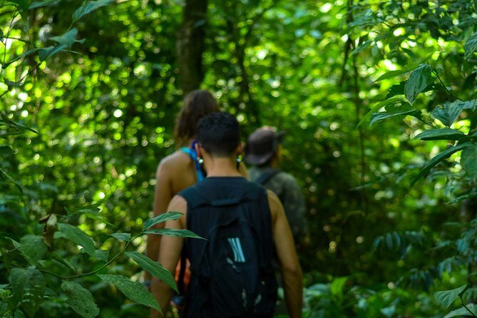 Bathing in the Forest Trail in Foz do Iguaçu - Canafístula Trail: Nature Time With Calm Instructions