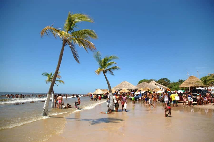 Belém: 2, 3 or 4-Day Marajó Island Excursion with Lodging - Key highlights you’ll feel (not just read)