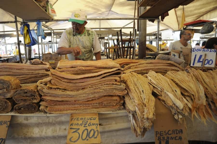 Belém: Half-Day City Tour with Ver-o-Peso Market Visit - Why this Belém half-day tour is a smart use of 4 hours
