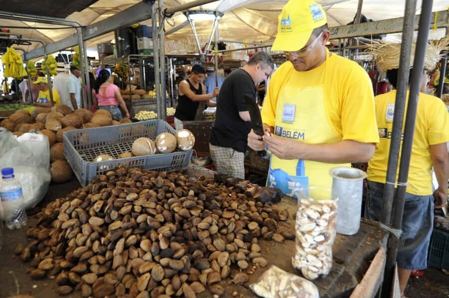 Belém: Half-Day City Tour with Ver-o-Peso Market Visit - Castelo Fortress and Belém’s 1616 founding thread