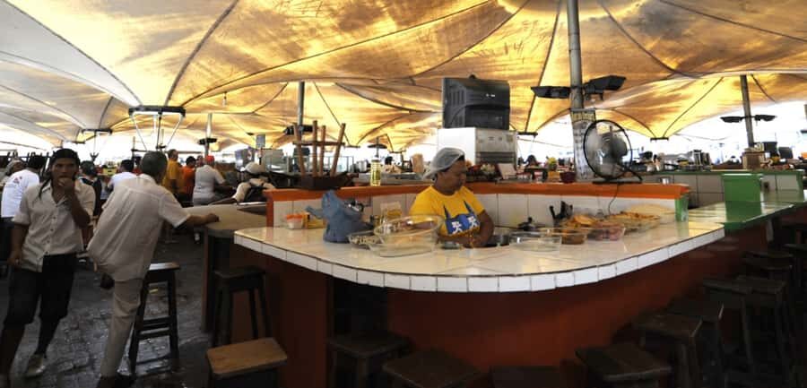 Belém: Half-Day City Tour with Ver-o-Peso Market Visit - Price and value: is $83 fair for this 4-hour circuit?