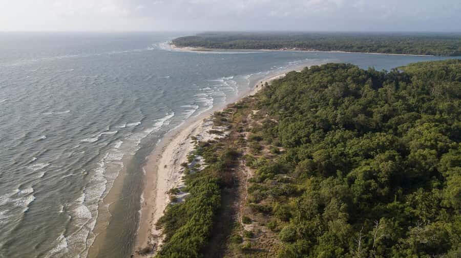 Belém: Marajó Island Day Trip with Buffalo Farm Visit - Marajó from Belém: what you’re really buying for $160