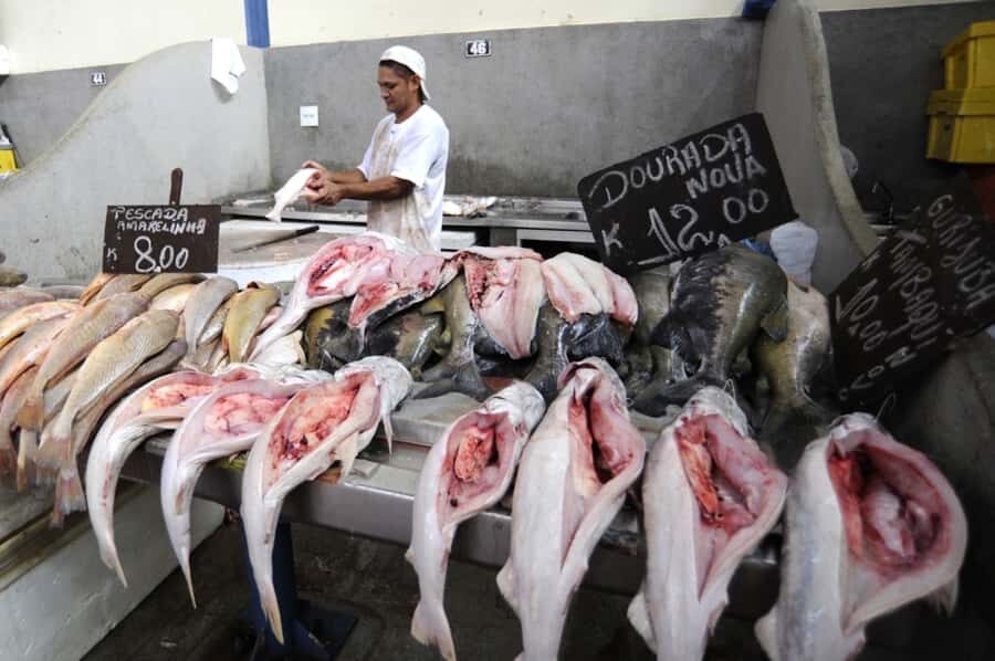 Belém: Ver-o-Peso Market and Full-Day City Tour with Lunch - Start at Ver-o-Peso: A Market Built on the Amazon’s Everyday Life