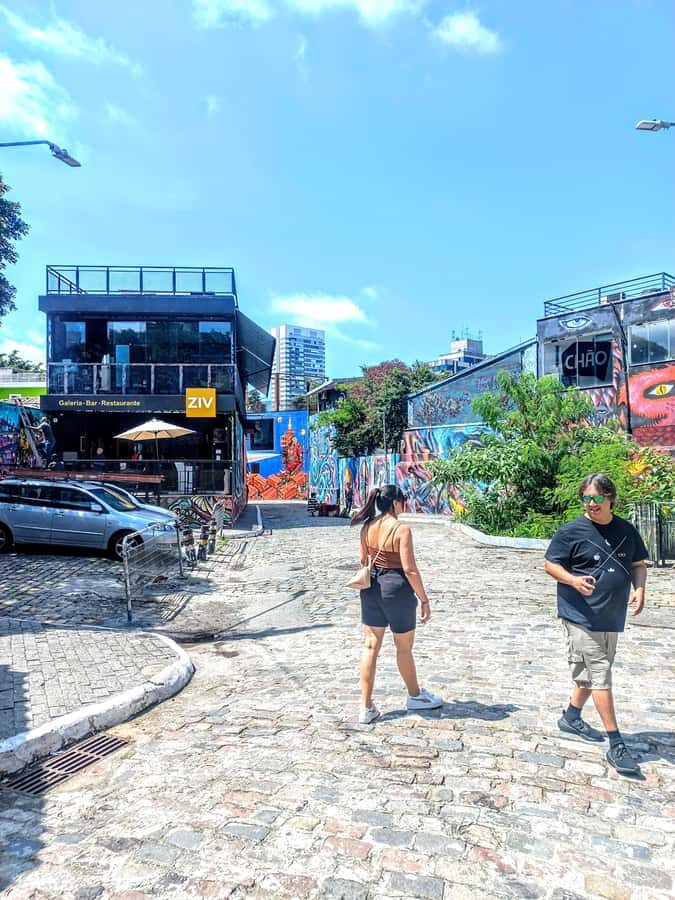 Best São Paulo City Tour History 5Hours Private Experience. - Ibirapuera Park: your reset button in the middle of city sightseeing