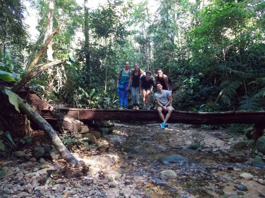 Bico do Papagaio Guided Hiking Tour in the Tijuca Forest - Price and value: is $59 worth it for 8 hours?