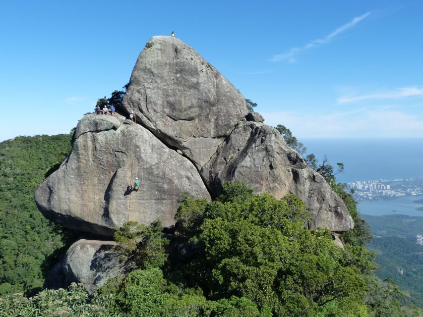 Bico do Papagaio Guided Hiking Tour in the Tijuca Forest - The trail day: guided hiking, visitor center, and real forest wildlife