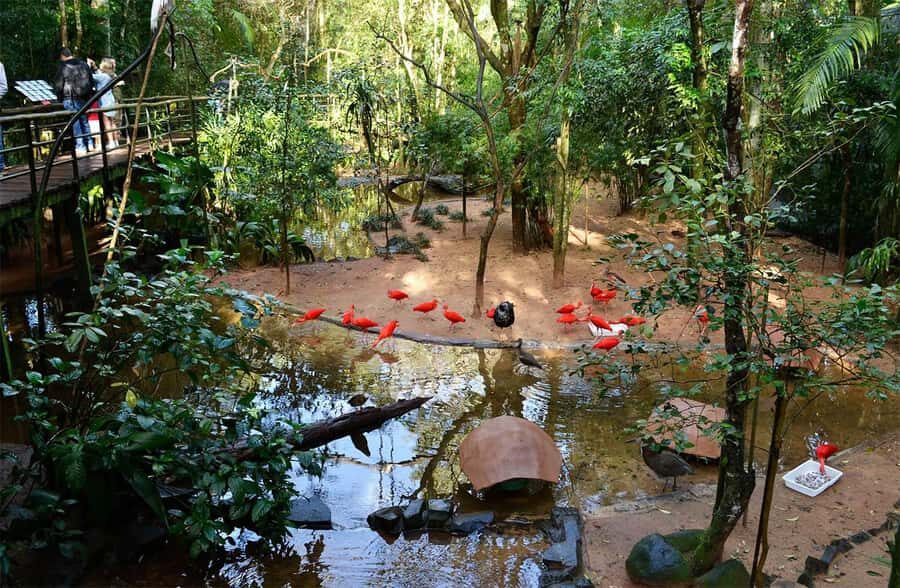 Brazilian Falls, Bird Park and Itaipu Dam - What to bring for a day of water, birds, and outdoors