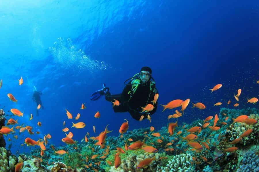 Buzios - DIVING EXPERIENCE - Where You Meet: João Fernandinho and the Mergulho Logo