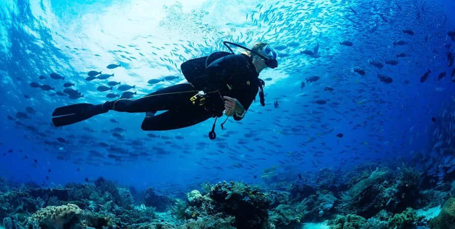 Buzios - DIVING EXPERIENCE - Arrecife Reef Time: Coral, Fish, and the Chance of Turtles
