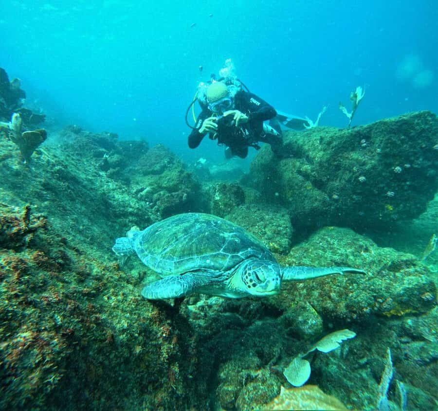 Buzios - DIVING EXPERIENCE - Water Adaptation With No Time Limit: Comfort Over Speed