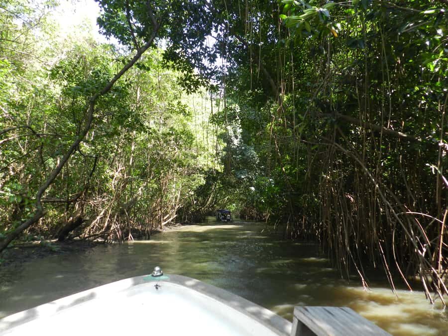 Caburé - Boat tour on the Rio Preguiças - Morning Start: Barreirinhas at 08:00 and the Rio Preguiças Ride