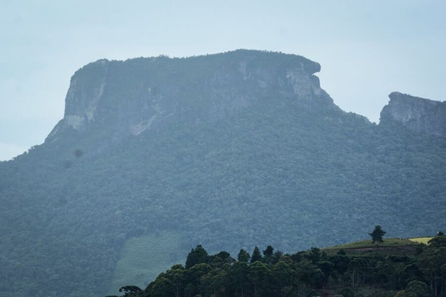 Campos do Jordão: Full-Day Private Tour from São Paulo - Lunch in Campos: Let Your Guide Pick the Right Fit