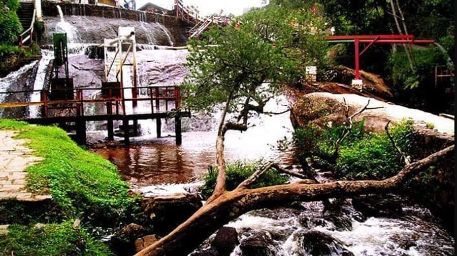 Campos do Jordão: Private 8 Hour Tour - Amantikir Park: 26 gardens, themed corners, and guided walking time