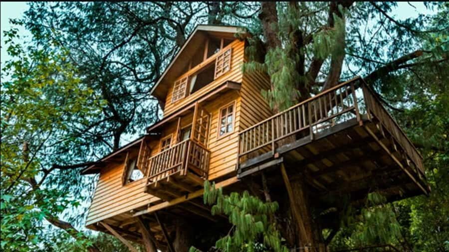 Campos do Jordão: Private 8 Hour Tour - Getting from São Paulo: pickup, air-conditioning, and the uphill road trip