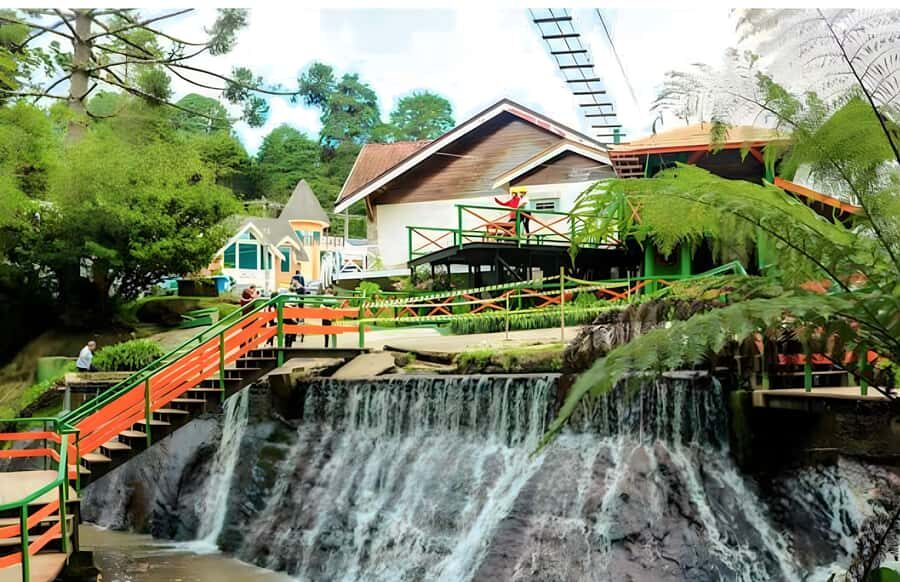 Campos do Jordão The Brazilian Switzerland,Full Day Trip - Price and Value: What $250 Really Covers (and What Doesn’t)