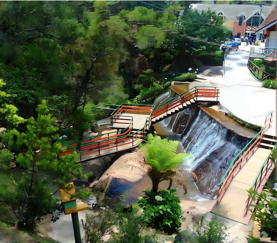 Campos do Jordão The Brazilian Switzerland,Full Day Trip - The 9 to 10 Hour Flow From Your Hotel (What You Gain)