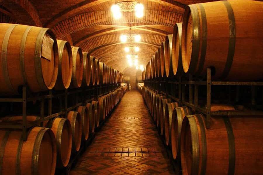Canela/Gramado: South Wineries, Wine Train, & Italian Park - The Italian immigrant story behind the vineyards